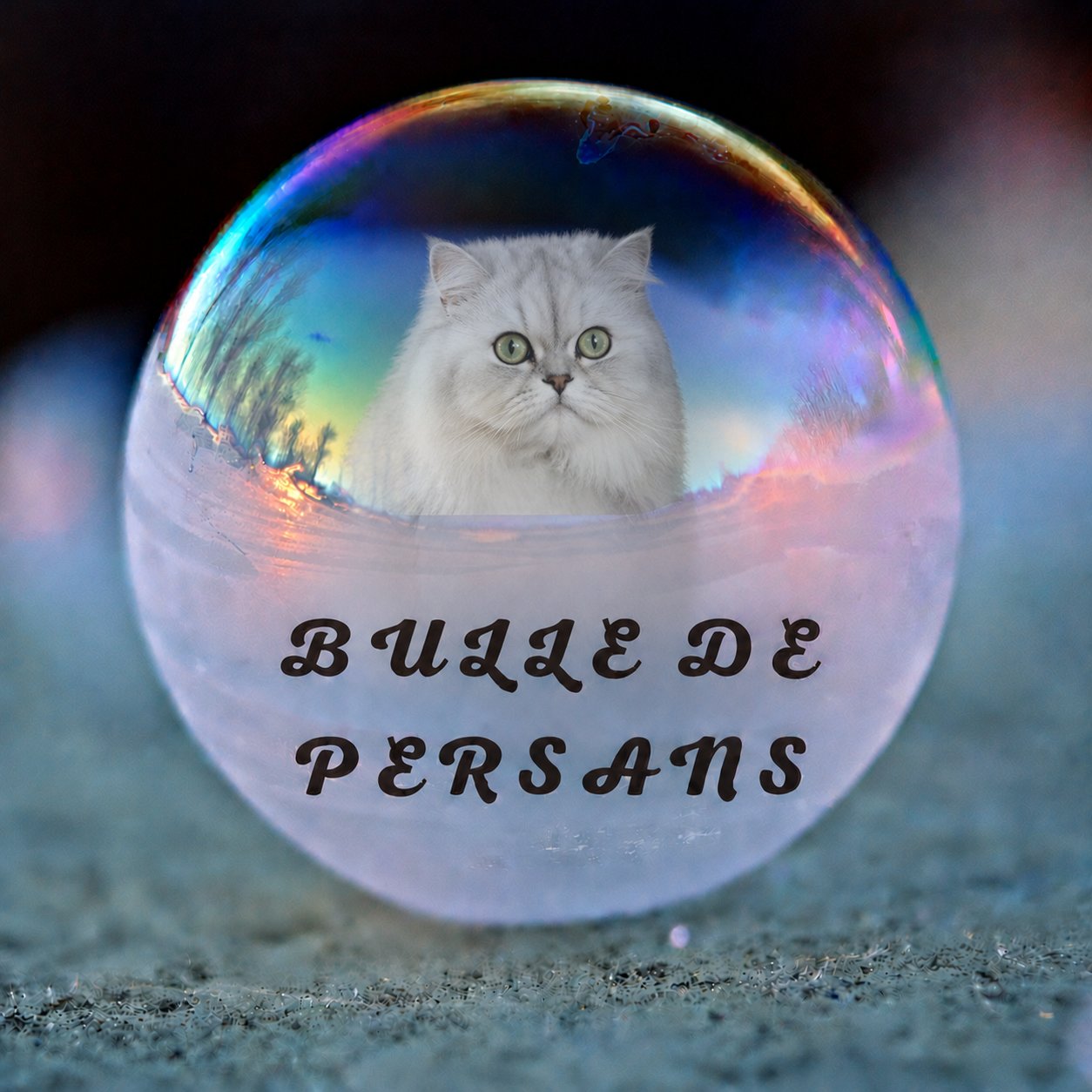Bulle de Persans